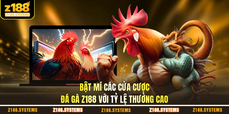 Bật mí các cửa cược đá gà Z188 với tỷ lệ thưởng cao