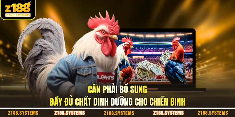 Cần phải bổ sung đầy đủ chất dinh dưỡng cho chiến binh