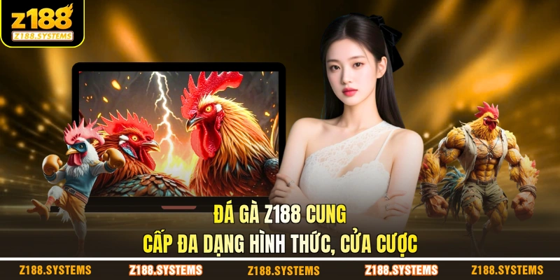 Đá gà Z188 cung cấp đa dạng hình thức, cửa cược