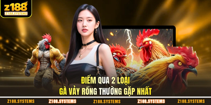 Điểm qua 2 loại gà vảy rồng thường gặp nhất