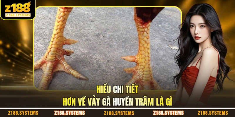 Hiểu chi tiết hơn về vảy gà Huyền Trâm là gì