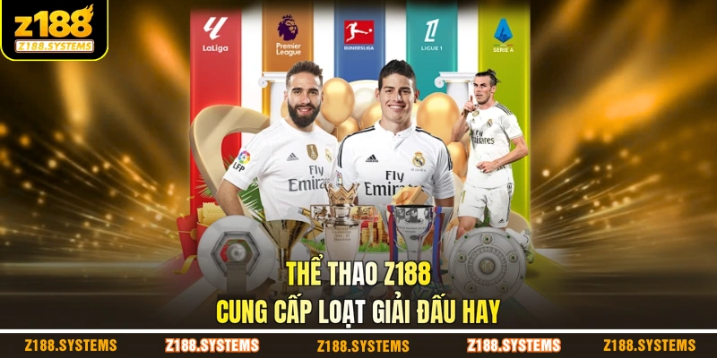 Thể thao Z188 cung cấp loạt giải đấu hay Thể thao Z188 cung cấp loạt giải đấu hay